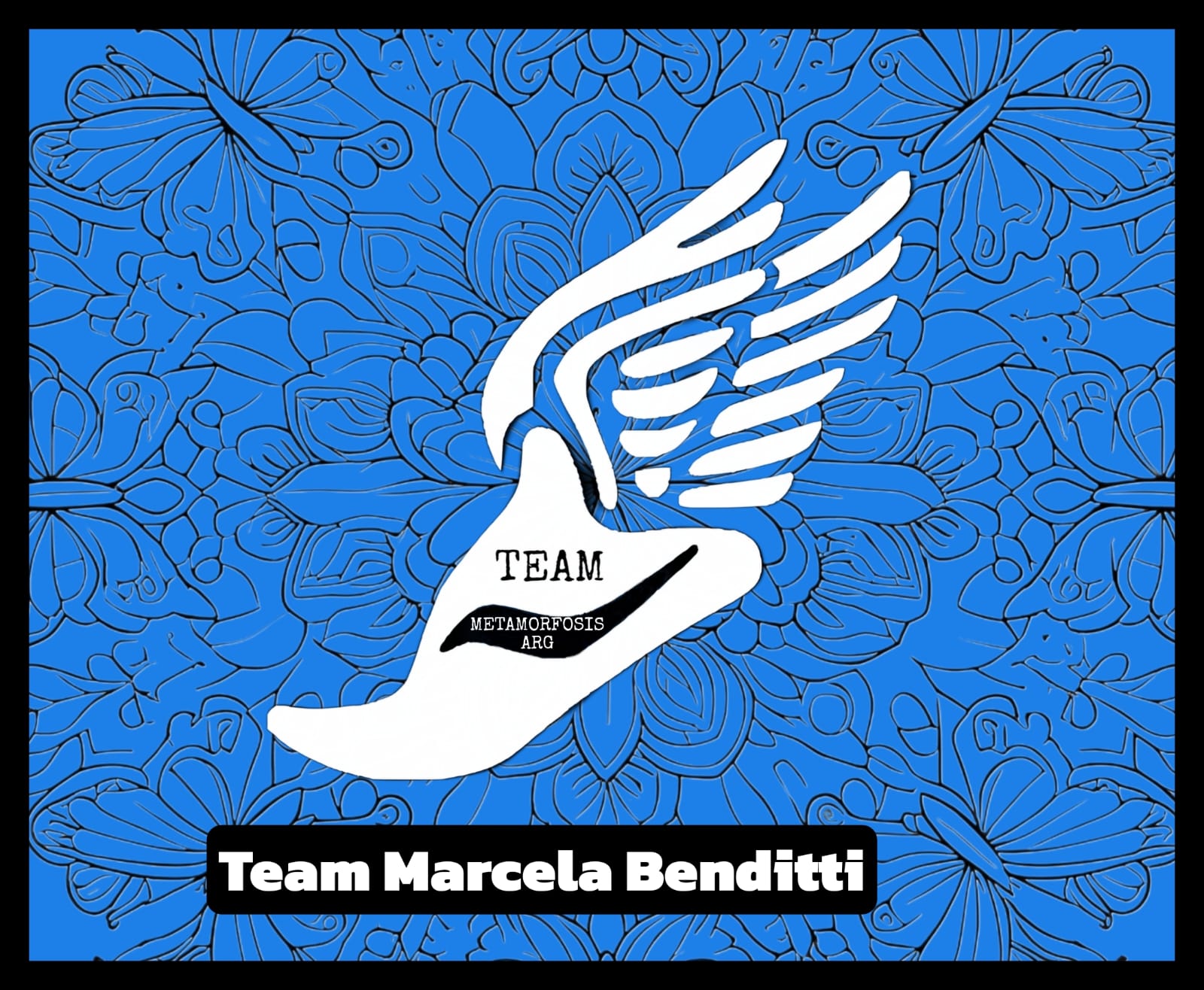 Foto del equipo TEAM METAMORFOSIS ARG